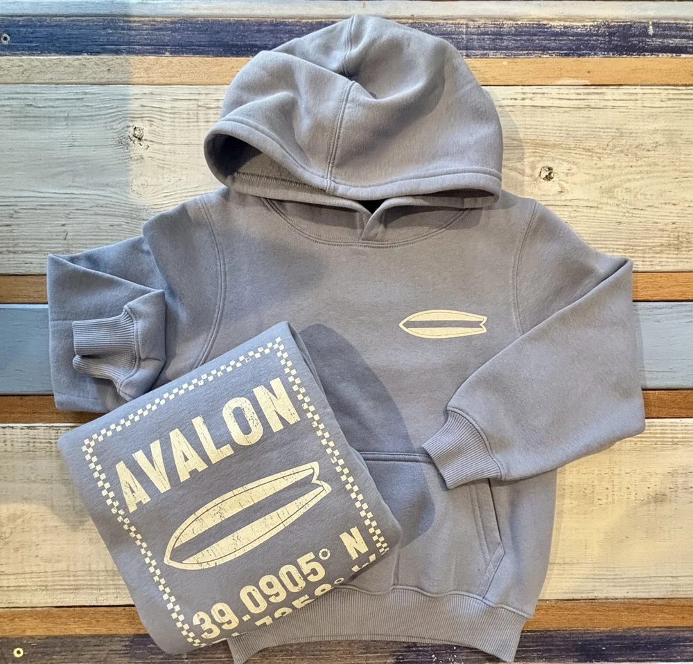 AVALON | YOUTH HOODED SWEATSHIRT — BREEZIN' UP